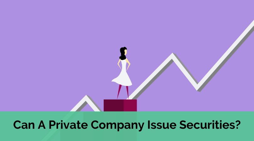 can a private company issue securities